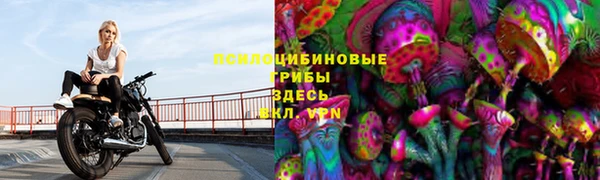 apvp Беломорск