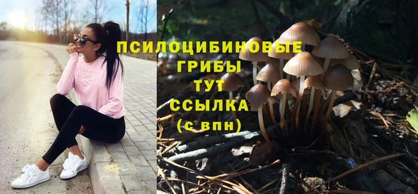 Альфа ПВП Калининец