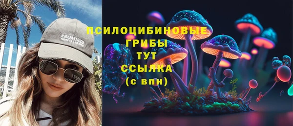 apvp Беломорск