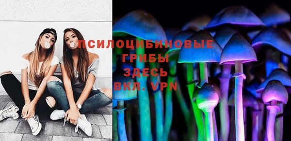 первитин Белокуриха
