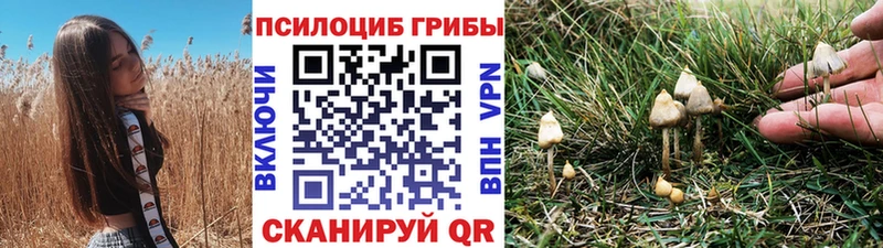 цена   мега зеркало  Псилоцибиновые грибы Cubensis  Бор 